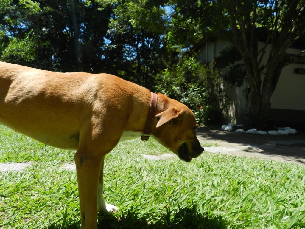 Pousada Ype Amarelo Itatiaia  Luaran gambar